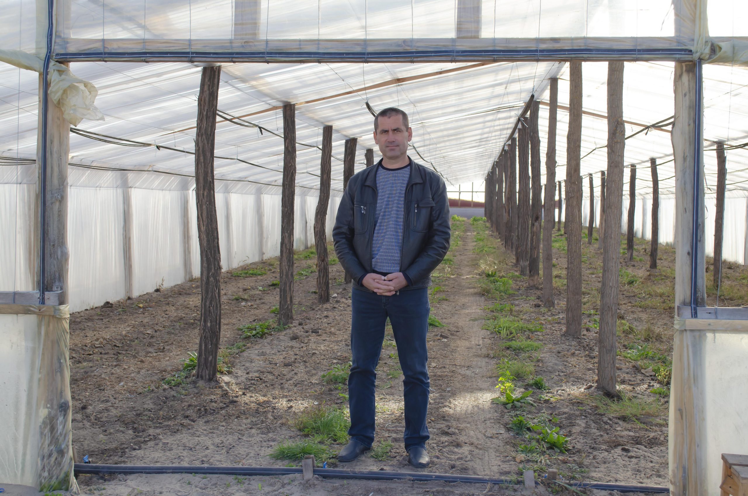 A farmer stands in his greenhouse.