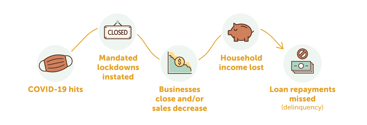 COVID-19 hits, mandated lockdowns instated, businesses close and/or sales decrease, household income lost, loan repayments missed