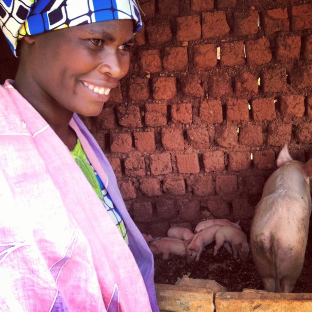 Rachel with some of her pigs